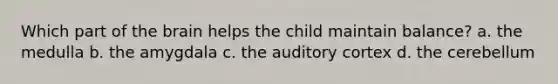 Which part of the brain helps the child maintain balance? a. the medulla b. the amygdala c. the auditory cortex d. the cerebellum