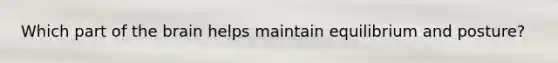 Which part of the brain helps maintain equilibrium and posture?