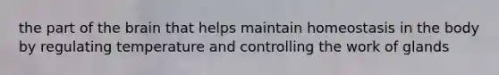 the part of the brain that helps maintain homeostasis in the body by regulating temperature and controlling the work of glands