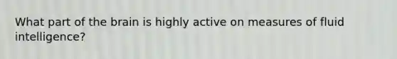 What part of the brain is highly active on measures of fluid intelligence?