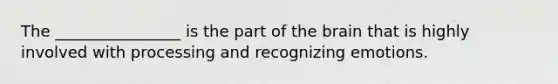 The ________________ is the part of the brain that is highly involved with processing and recognizing emotions.