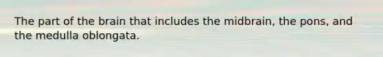 The part of the brain that includes the midbrain, the pons, and the medulla oblongata.