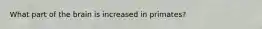 What part of the brain is increased in primates?