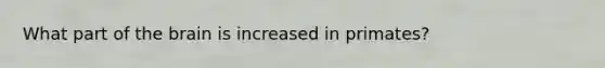 What part of the brain is increased in primates?