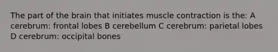 The part of the brain that initiates muscle contraction is the: A cerebrum: frontal lobes B cerebellum C cerebrum: parietal lobes D cerebrum: occipital bones