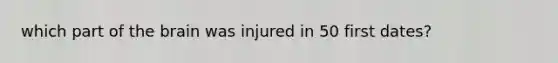 which part of the brain was injured in 50 first dates?