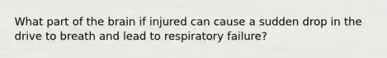 What part of the brain if injured can cause a sudden drop in the drive to breath and lead to respiratory failure?