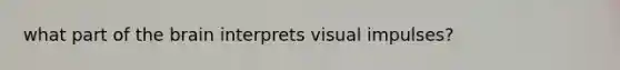 what part of the brain interprets visual impulses?
