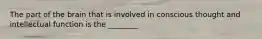 The part of the brain that is involved in conscious thought and intellectual function is the ________