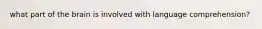 what part of the brain is involved with language comprehension?