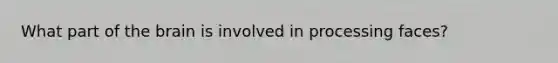 What part of the brain is involved in processing faces?