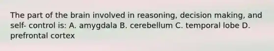 The part of the brain involved in reasoning, decision making, and self- control is: A. amygdala B. cerebellum C. temporal lobe D. prefrontal cortex