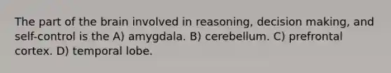 The part of the brain involved in reasoning, decision making, and self-control is the A) amygdala. B) cerebellum. C) prefrontal cortex. D) temporal lobe.