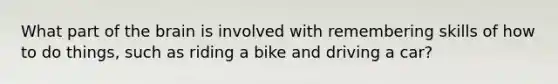 What part of the brain is involved with remembering skills of how to do things, such as riding a bike and driving a car?