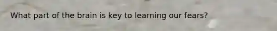 What part of the brain is key to learning our fears?