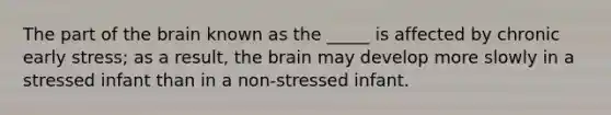 The part of the brain known as the _____ is affected by chronic early stress; as a result, the brain may develop more slowly in a stressed infant than in a non-stressed infant.