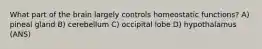 What part of the brain largely controls homeostatic functions? A) pineal gland B) cerebellum C) occipital lobe D) hypothalamus (ANS)