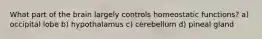 What part of the brain largely controls homeostatic functions? a) occipital lobe b) hypothalamus c) cerebellum d) pineal gland