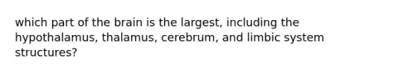 which part of the brain is the largest, including the hypothalamus, thalamus, cerebrum, and limbic system structures?