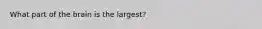What part of the brain is the largest?