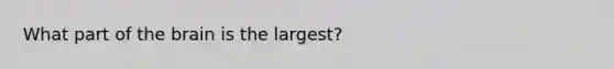 What part of the brain is the largest?