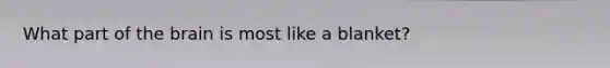 What part of <a href='https://www.questionai.com/knowledge/kLMtJeqKp6-the-brain' class='anchor-knowledge'>the brain</a> is most like a blanket?