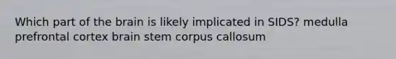 Which part of the brain is likely implicated in SIDS? medulla prefrontal cortex brain stem corpus callosum