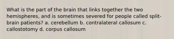 What is the part of the brain that links together the two hemispheres, and is sometimes severed for people called split-brain patients? a. cerebellum b. contralateral callosum c. callostotomy d. corpus callosum