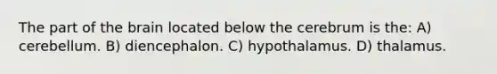 The part of the brain located below the cerebrum is the: A) cerebellum. B) diencephalon. C) hypothalamus. D) thalamus.