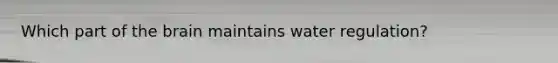 Which part of the brain maintains water regulation?