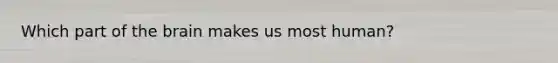 Which part of <a href='https://www.questionai.com/knowledge/kLMtJeqKp6-the-brain' class='anchor-knowledge'>the brain</a> makes us most human?