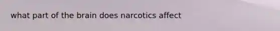 what part of the brain does narcotics affect