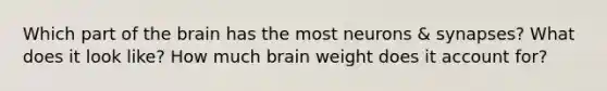 Which part of the brain has the most neurons & synapses? What does it look like? How much brain weight does it account for?