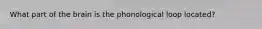 What part of the brain is the phonological loop located?