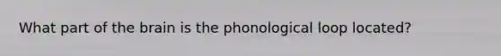 What part of the brain is the phonological loop located?