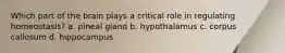 Which part of the brain plays a critical role in regulating homeostasis? a. pineal gland b. hypothalamus c. corpus callosum d. hippocampus