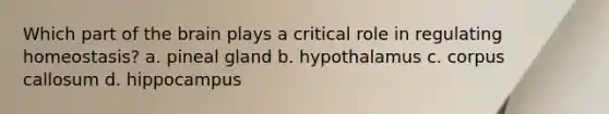 Which part of the brain plays a critical role in regulating homeostasis? a. pineal gland b. hypothalamus c. corpus callosum d. hippocampus