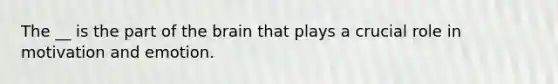 The __ is the part of the brain that plays a crucial role in motivation and emotion.