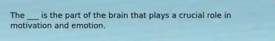 The ___ is the part of the brain that plays a crucial role in motivation and emotion.
