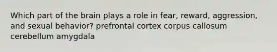 Which part of the brain plays a role in fear, reward, aggression, and sexual behavior? prefrontal cortex corpus callosum cerebellum amygdala