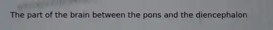 The part of the brain between the pons and the diencephalon