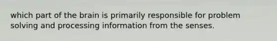 which part of the brain is primarily responsible for problem solving and processing information from the senses.