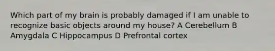 Which part of my brain is probably damaged if I am unable to recognize basic objects around my house? A Cerebellum B Amygdala C Hippocampus D Prefrontal cortex