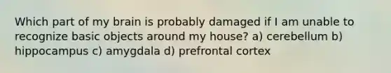 Which part of my brain is probably damaged if I am unable to recognize basic objects around my house? a) cerebellum b) hippocampus c) amygdala d) prefrontal cortex