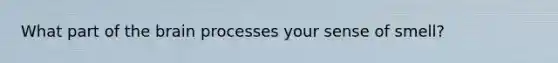 What part of the brain processes your sense of smell?
