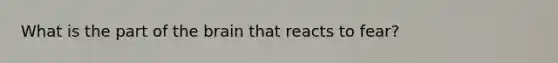 What is the part of the brain that reacts to fear?