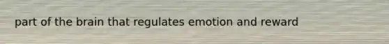 part of the brain that regulates emotion and reward