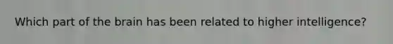 Which part of the brain has been related to higher intelligence?
