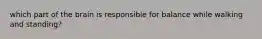 which part of the brain is responsible for balance while walking and standing?