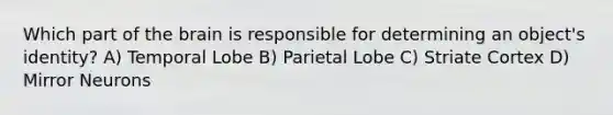 Which part of the brain is responsible for determining an object's identity? A) Temporal Lobe B) Parietal Lobe C) Striate Cortex D) Mirror Neurons